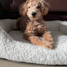 Lade das Bild in den Galerie-Viewer, Nachhaltiges Premium Hundebett "Teddy" SoftColor | Rexproduct | Schadstofffrei & recycelte Materialien | Hellbeige | Fräulein Plath