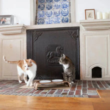 Lade das Bild in den Galerie-Viewer, Futterstation catBar® | Porzellan | Nussbaum | Holz aus zertifizierter Forstwirtschaft