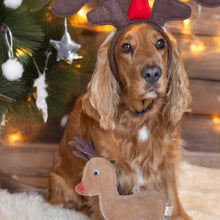 Lade das Bild in den Galerie-Viewer, Nachhaltiges Leder Hundespielzeug "Rudolph Rentier" | Schadstofffrei & robust | Drolliges Weihnachtsgeschenk