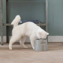 Lade das Bild in den Galerie-Viewer, Ergonomischer Katzennapf "Tower" von HOOPO® | 100% Porzellan | 300 ml | Grau