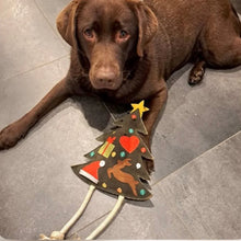 Lade das Bild in den Galerie-Viewer, Weihnachtsgeschenke-Set "Joy to the World" für Hunde | Schadstofffrei & robust | Must Have