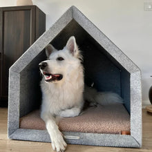 Lade das Bild in den Galerie-Viewer, Rexproduct Indoor Hundehütte "PetHome 2.0" TEDDY | 100% recycelt | S - XL | Hellgrau | 2 Matratzenfarben