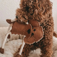 Lade das Bild in den Galerie-Viewer, Nachhaltiges Hundespielzeug Set "Feliz Navidad" für Hunde | Schadstofffrei & robust | Upcycling Leder | Weihnachtsgeschenk