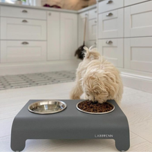 Lade das Bild in den Galerie-Viewer, LABBVENN RICO Futterstation für Hunde | Edelstahlnäpfe | 3 Größen | Grau - Hund trinkt