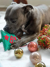 Lade das Bild in den Galerie-Viewer, Öko-Hundespielzeug "Bruce" | Upcycling Wildleder | 100% biologisch abbaubar | fetziges Weihnachtsgeschenk