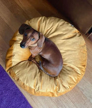 Lade das Bild in den Galerie-Viewer, Hundebett & Hundekissen rund "Coco" Rexproduct | Öko-Tex | Gelb | 2 Größen