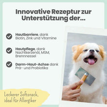 Lade das Bild in den Galerie-Viewer, Noms+ Haut & Fell Komplex für Hunde | Unterstützt die Hautbarriere | Snacks mit Biotin, Zink & Nachtkerzenöl | Vegan & tierleidfrei | 200g | Zink