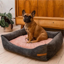 Lade das Bild in den Galerie-Viewer, Nachhaltiges Rexproduct Hundebett ORTHOPÄDISCH - waschbar & schadstofffrei | Dunkelgrau | 8 versch. Matratzenfarben