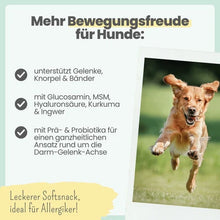 Lade das Bild in den Galerie-Viewer, Noms+ Gelenk-Komplex für Hunde | natürliche Gelenkunterstützung | Snacks mit Glucosamin, MSM und Kurkuma | Vegan & tierleidfrei | 200g - Hund springt