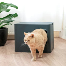 Lade das Bild in den Galerie-Viewer, Nachhaltige Katzentoilette HOOPO® DOME | 100% recycelt | Grau