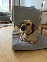 Lade das Bild in den Galerie-Viewer, Nachhaltige Öko Hundematratze "SoftPET" von Rexproduct | 100% schadstofffrei & recycelt | 8 Farben