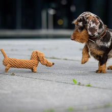 Lade das Bild in den Galerie-Viewer, Öko-Hundespielzeug "Diego Dackel" | 100% Baumwolle & recyclebar | Natürliche Zahnpflege
