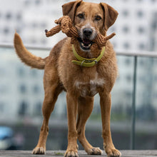 Lade das Bild in den Galerie-Viewer, Öko-Hundespielzeug "Diego Dackel" | 100% Baumwolle & recyclebar | Natürliche Zahnpflege