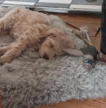Lade das Bild in den Galerie-Viewer, Nachhaltiges Fräulein Plath Hundespielzeug "Elli Ente" | 100% schadstofffrei | Upcycling Leder | Fräulein Plath