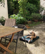 Lade das Bild in den Galerie-Viewer, Rexproduct Hundematratze orthopädisch "Ori Ortho" | OekoTex Standard 100-Zertifikat | 5 Farben | Fräulein Plath