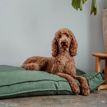 Lade das Bild in den Galerie-Viewer, Nachhaltige Hundematratze "Wilma" von Lill´s | GOTS-zertifiziertes Hundebett | Olive
