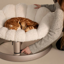 Lade das Bild in den Galerie-Viewer, Schwingendes Haustierbett SHELL von TAVO| Für Hund & Katze | GREENGUARD-Gold-Zertifizierung | Farbe: Latte