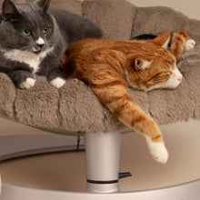 Lade das Bild in den Galerie-Viewer, Schwingendes Haustierbett SHELL von TAVO| Für Hund & Katze | GREENGUARD-Gold-Zertifizierung | Farbe: Caramel