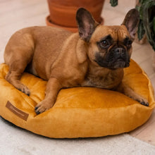 Lade das Bild in den Galerie-Viewer, Hundebett & Hundekissen rund "Coco" Rexproduct | Öko-Tex | Gelb | 2 Größen