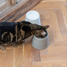 Lade das Bild in den Galerie-Viewer, Ergonomischer Katzennapf "Tower" von HOOPO® | 100% Porzellan | 300 ml | Grau