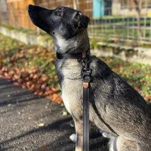 Lade das Bild in den Galerie-Viewer, Korkleder Hundeleine | Robust & Vegan | Top Ökobilanz | Schwarz | Beschläge wählbar