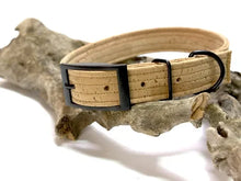 Lade das Bild in den Galerie-Viewer, Hundehalsband mit Dornschnalle | Korkleder | Umweltfreundlich | Robust & Vegan | Natur/Schwarz