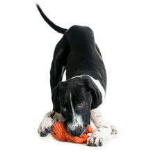 Lade das Bild in den Galerie-Viewer, Öko-Hundespielzeug "Thaddäus" | 100% Baumwolle & recyclebar | Natürliche Zahnpflege