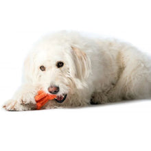 Lade das Bild in den Galerie-Viewer, Öko-Hundespielzeug "Thaddäus" | 100% Baumwolle & recyclebar | Natürliche Zahnpflege