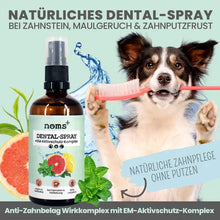 Lade das Bild in den Galerie-Viewer, 3in1 Dental Box für Hunde | Natürlich & ohne Chemie | 100% vegan & tierleidfrei | Peta-zertifiziert