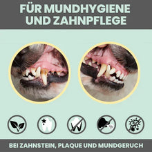 Lade das Bild in den Galerie-Viewer, 3in1 Dental Box für Hunde | Natürlich & ohne Chemie | 100% vegan & tierleidfrei | Peta-zertifiziert