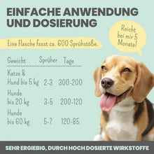 Lade das Bild in den Galerie-Viewer, 3in1 Dental Box für Hunde | Natürlich & ohne Chemie | 100% vegan & tierleidfrei | Peta-zertifiziert