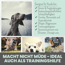 Lade das Bild in den Galerie-Viewer, Noms+ Wohlfühlsnacks für Hunde | Bei Stress, Angst, Unruhe & Hyperaktivität | 100% vegan & tierleidfrei | 200g