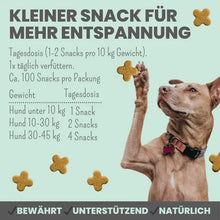 Lade das Bild in den Galerie-Viewer, Noms+ Wohlfühlsnacks für Hunde | Bei Stress, Angst, Unruhe & Hyperaktivität | 100% vegan & tierleidfrei | 200g