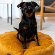 Lade das Bild in den Galerie-Viewer, Hundebett & Hundekissen rund "Coco" Rexproduct | Öko-Tex | Gelb | 2 Größen