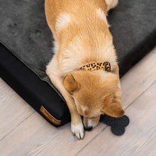 Lade das Bild in den Galerie-Viewer, Rexproduct Hundematratze orthopädisch "Ori Ortho" | OekoTex Standard 100-Zertifikat | 9 Farben