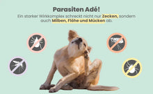 Lade das Bild in den Galerie-Viewer, WASSERFEST Zpot-on Tropfen für Hunde gegen Flöhe, Zecken, Milben & Mücken | 100% Chemiefrei | 100ml Jahresvorrat