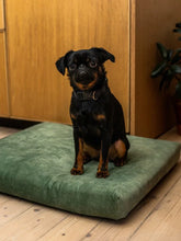 Lade das Bild in den Galerie-Viewer, Öko Hundematratze "SoftPET" | Global Recycled Standard & Oeko-Tex 100 -zertifiziert | 8 Farben