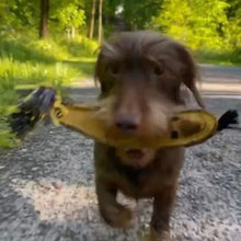 Lade das Bild in den Galerie-Viewer, Nachhaltiges Hundespielzeug "Barne Banane" | Robust & 100% schadstofffrei | Upcycling Leder & natürliche Baumwolle