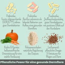 Lade das Bild in den Galerie-Viewer, Nachhaltiges Geschenke Set für Hunde "Driving Home For Christmas" | Tolles Weihnachtsgeschenk für Hund & Hundeeltern