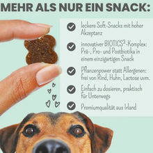 Lade das Bild in den Galerie-Viewer, Nachhaltiges Geschenke Set für Hunde "Driving Home For Christmas" | Tolles Weihnachtsgeschenk für Hund & Hundeeltern