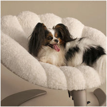 Lade das Bild in den Galerie-Viewer, Schwingendes Haustierbett SHELL von TAVO| Für Hund & Katze | GREENGUARD-Gold-Zertifizierung