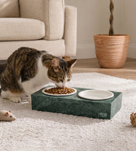 Lade das Bild in den Galerie-Viewer, Getigert-weiße Katze frisst aus der grünen PRIGUR Verdó Futterstation auf einem hellen Teppich