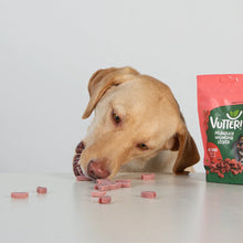 Lade das Bild in den Galerie-Viewer, Vutter! Veganer Hundesnack – Wie Rind – Snack-Bundles | Fräulein Plath