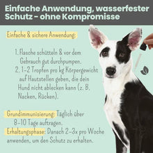 Lade das Bild in den Galerie-Viewer, WASSERFEST Zpot-on Tropfen für Hunde gegen Flöhe, Zecken, Milben & Mücken | 100% Chemiefrei | 100ml Jahresvorrat