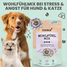 Lade das Bild in den Galerie-Viewer, Wohlfühlmix Pulver für Hunde & Katzen | Bei Stress, Angst, Unruhe & Hyperaktivität | 100% vegan & tierleidfrei | 150g