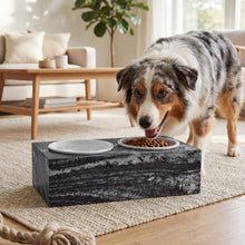 Lade das Bild in den Galerie-Viewer, Mehrfarbiger Hund am gefüllten Keramiknapf der PRIGUR Zebrá Futterstation auf einem hellen Teppich
