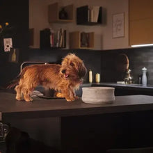Lade das Bild in den Galerie-Viewer, Hundenapf ROCKY von Laboni | Naturprodukt & schadstofffrei | Handarbeit