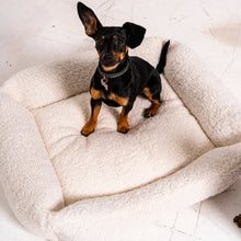 Lade das Bild in den Galerie-Viewer, Nachhaltiges Premium Hundebett "Teddy" SoftColor | Rexproduct | Schadstofffrei & recycelte Materialien | Hellbeige | Fräulein Plath