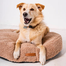 Lade das Bild in den Galerie-Viewer, Hundebett & Hundekissen rund "Coco Teddy" Rexproduct | Öko-Tex Standard | Beige | 2 Größen