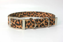 Lade das Bild in den Galerie-Viewer, Hundehalsband mit Dornschnalle | Korkleder | Umweltfreundlich | Robust & Vegan | Leo/Silber